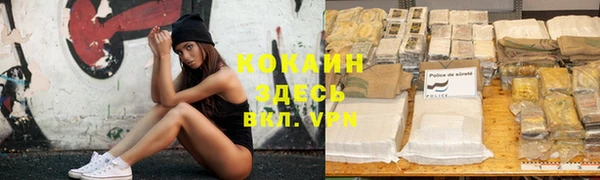 хмурый Алексин