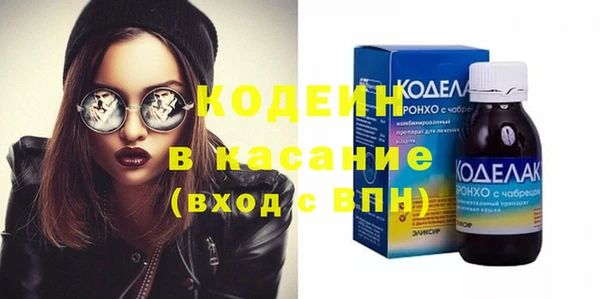 хмурый Алексин