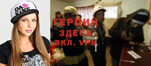 хмурый Алексин