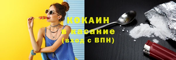хмурый Алексин