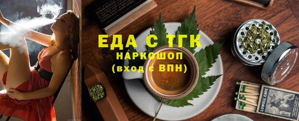 хмурый Алексин