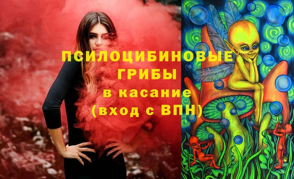 хмурый Алексин