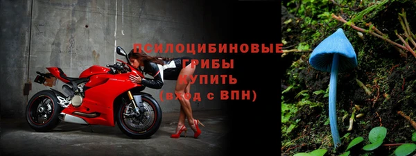 дживик Алзамай