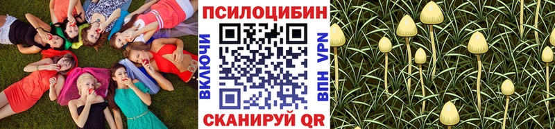 Галлюциногенные грибы Magic Shrooms  хочу наркоту  Майкоп 